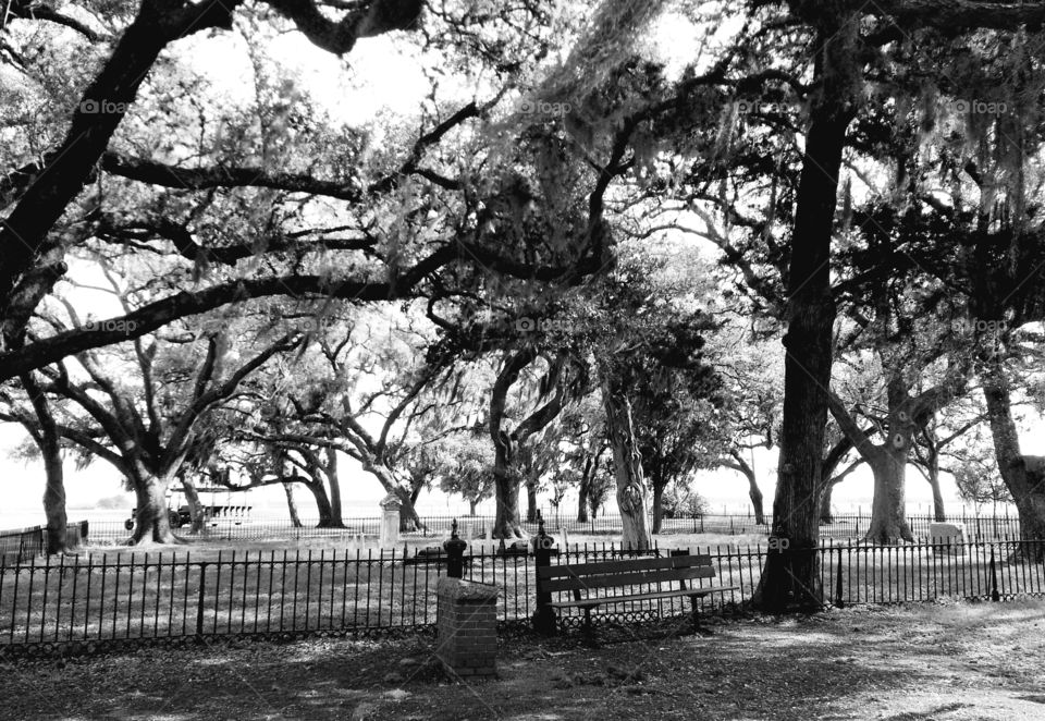 Cemetery at George Ranch