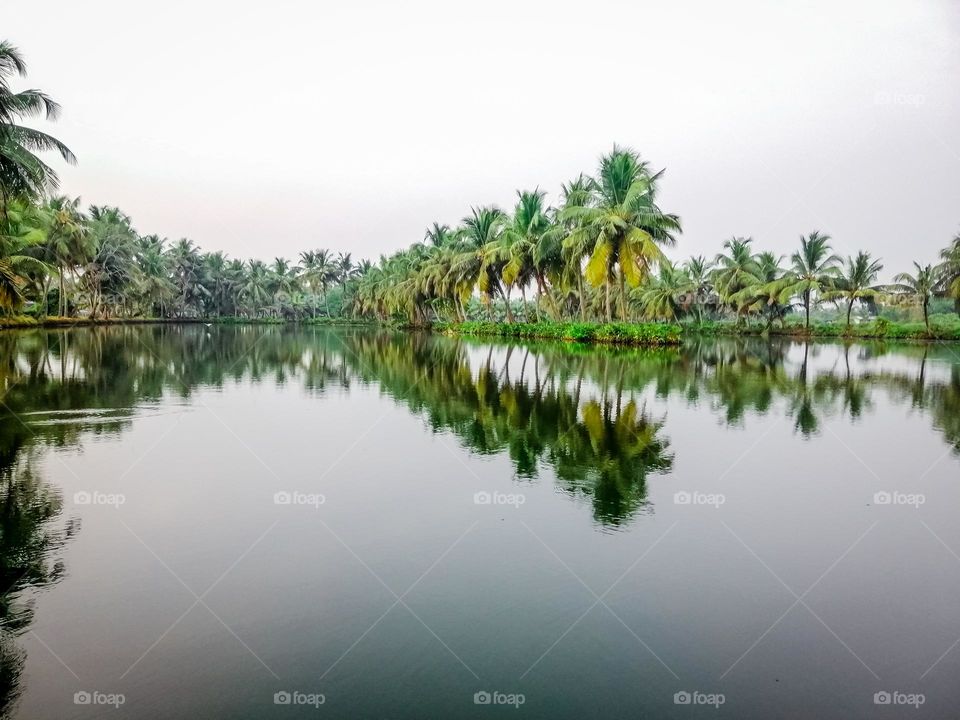 Reflections - Symmetric formations in nature