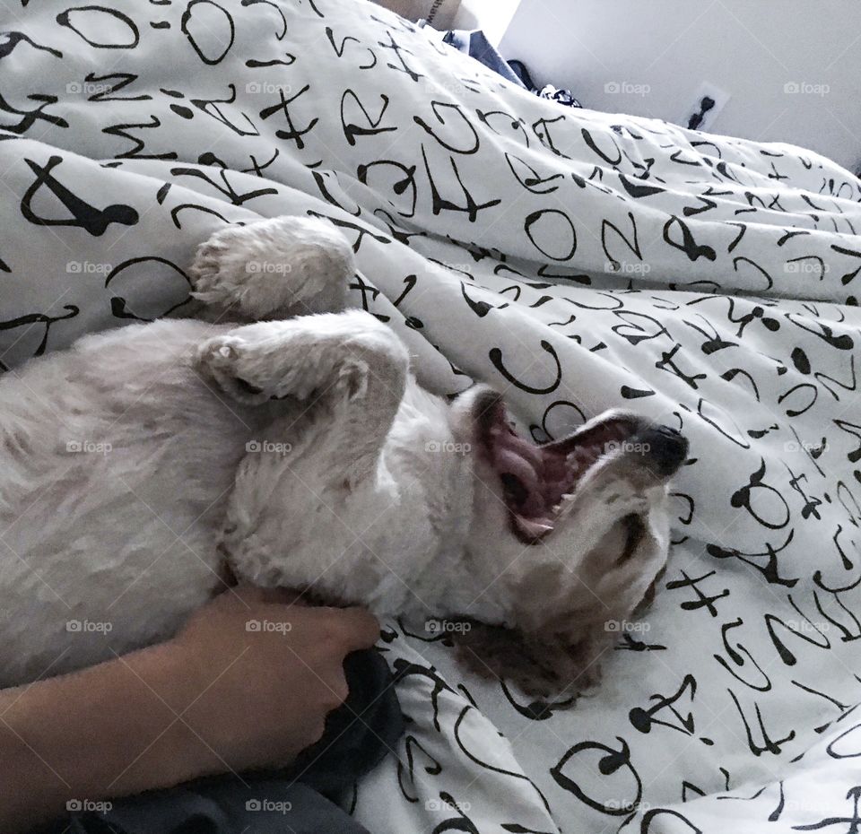 Yawning 