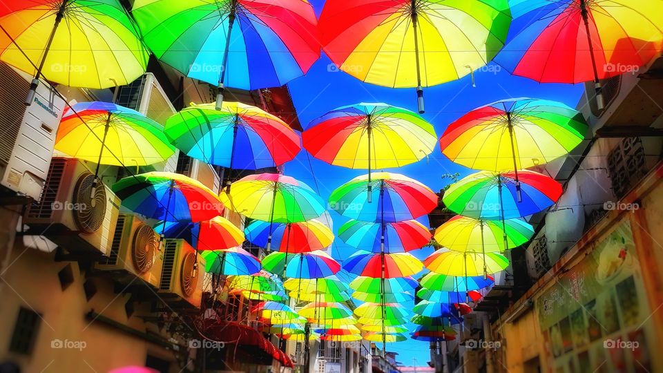 Beautiful umbrella on summer