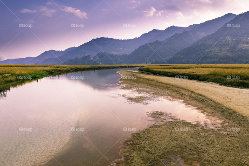 RICE FIELD AND RIVER