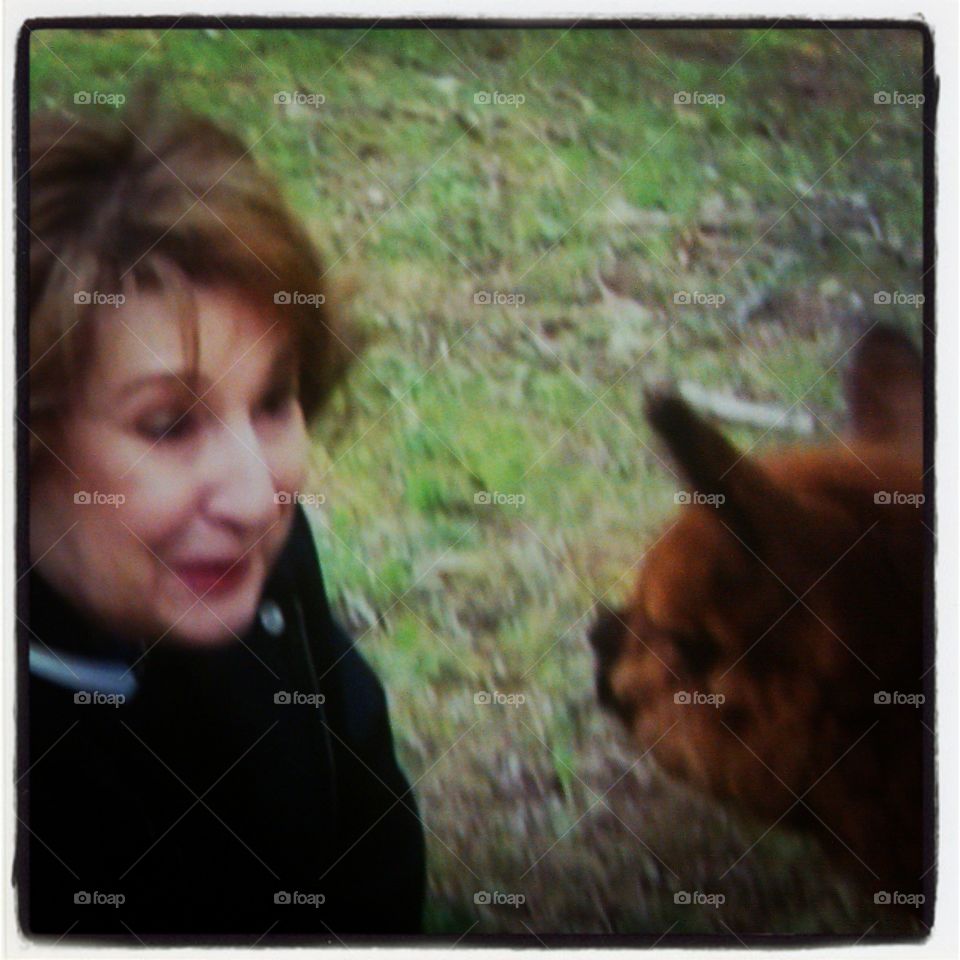 The meeting. My Mother and the Alpaca