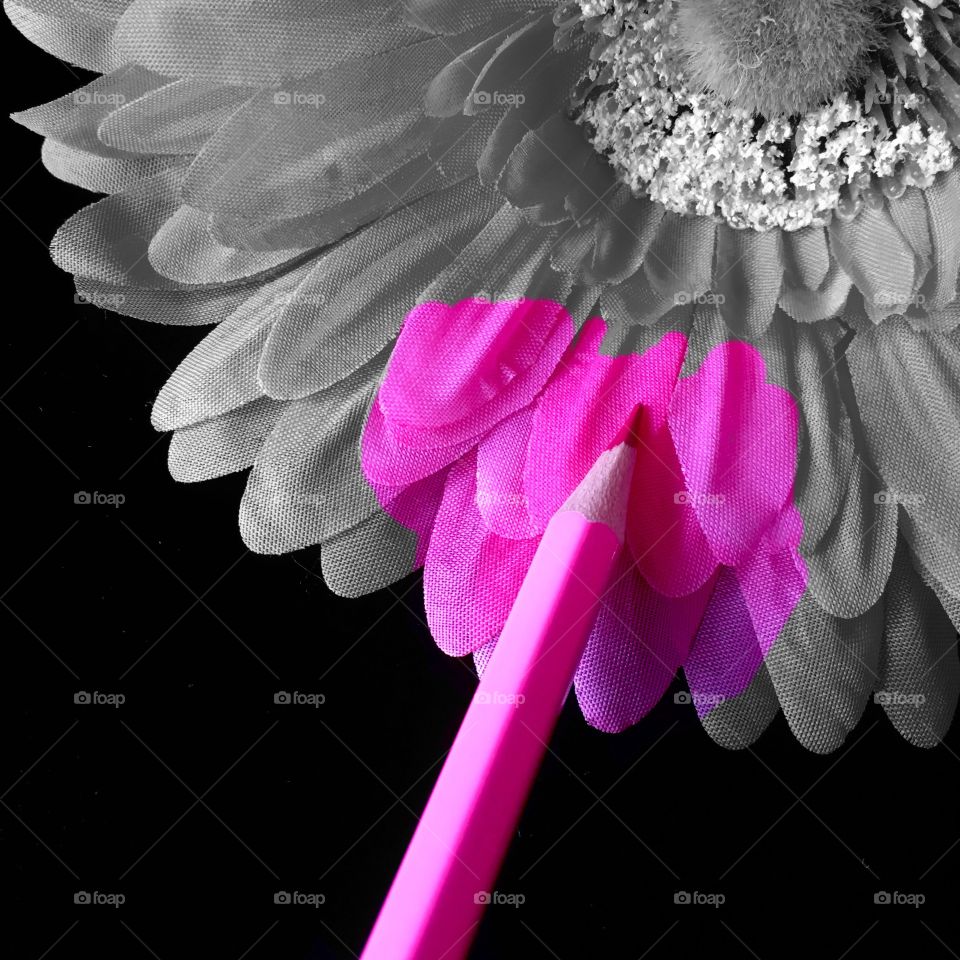 This picture was originally captured as a pink pencil and pink flower . 