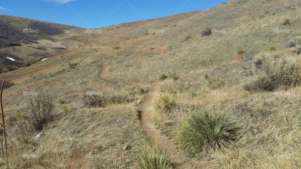 trail on foothill