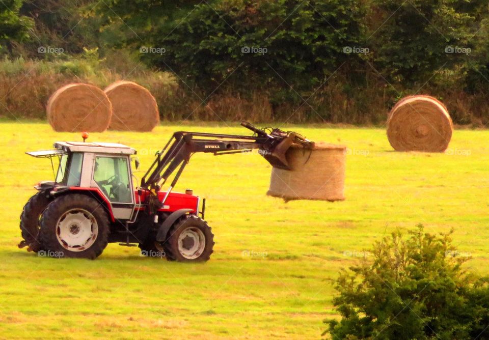 agriculture