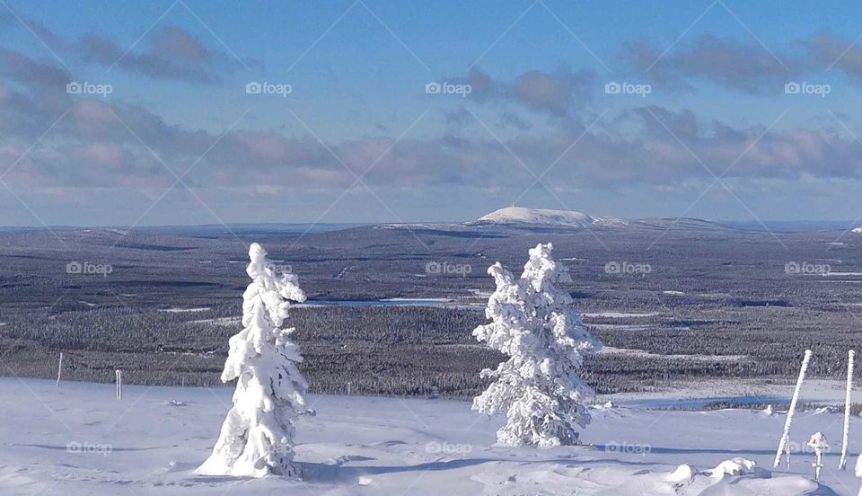 Winter landscape from Pyhätunturi, Lapland, Finland