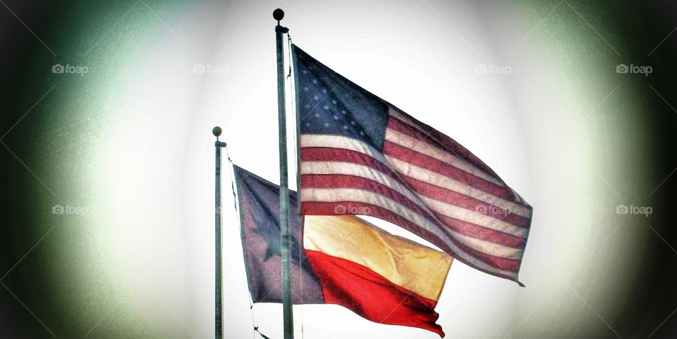 Texas & U.S.A. Flags