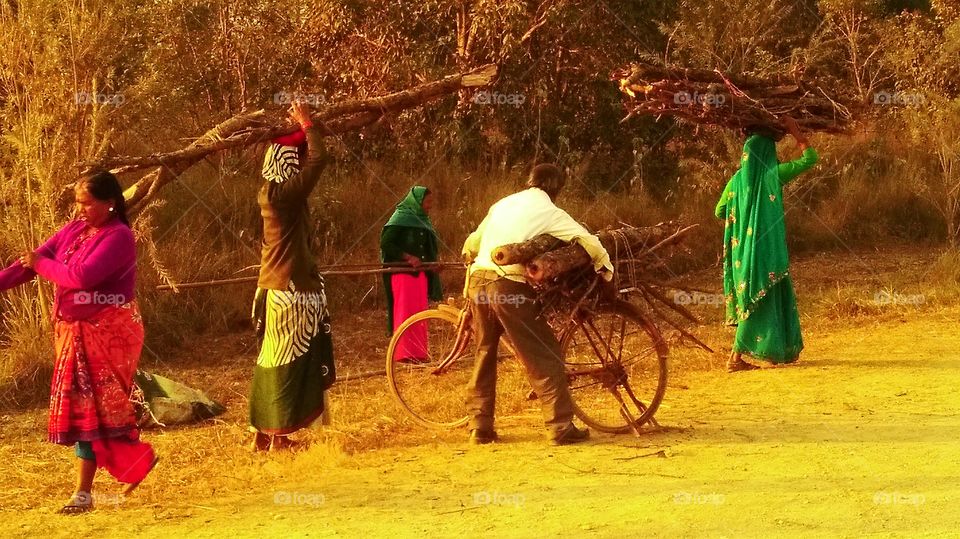 Locals in the Lumbini region of Nepal gather wood daily...tough task for the whole family...