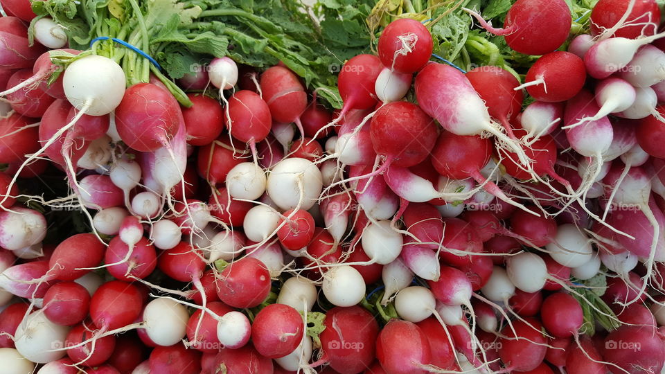 Radish, Root, Vegetable, Food, Pasture