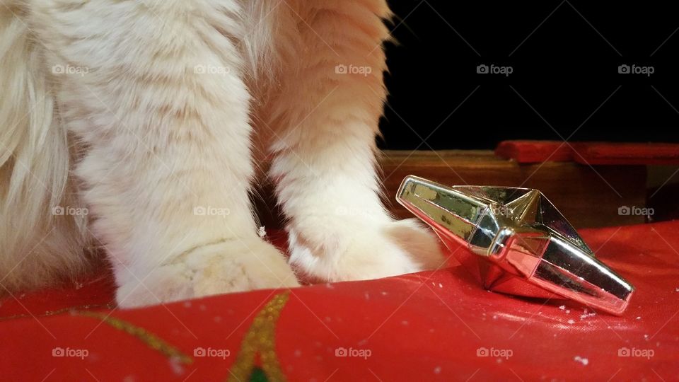 paws of white cat playing with Christmas tree decoration under tree