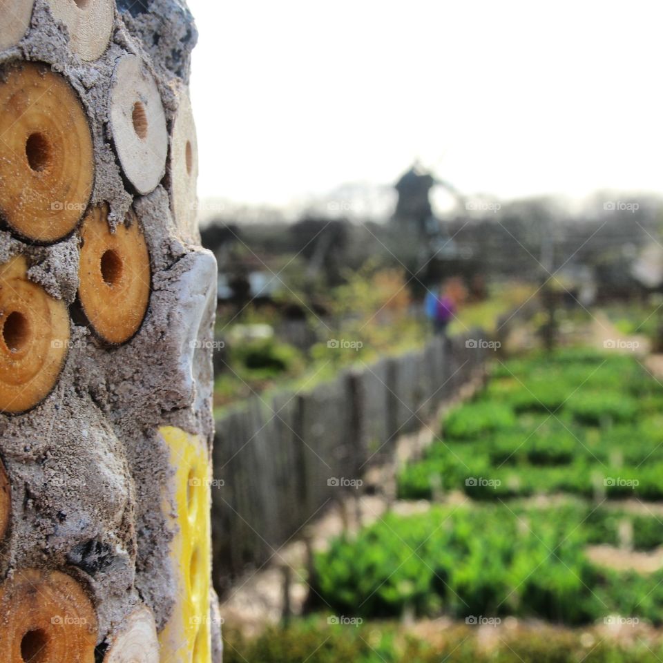 Skyscraper . this is a hotel for animals