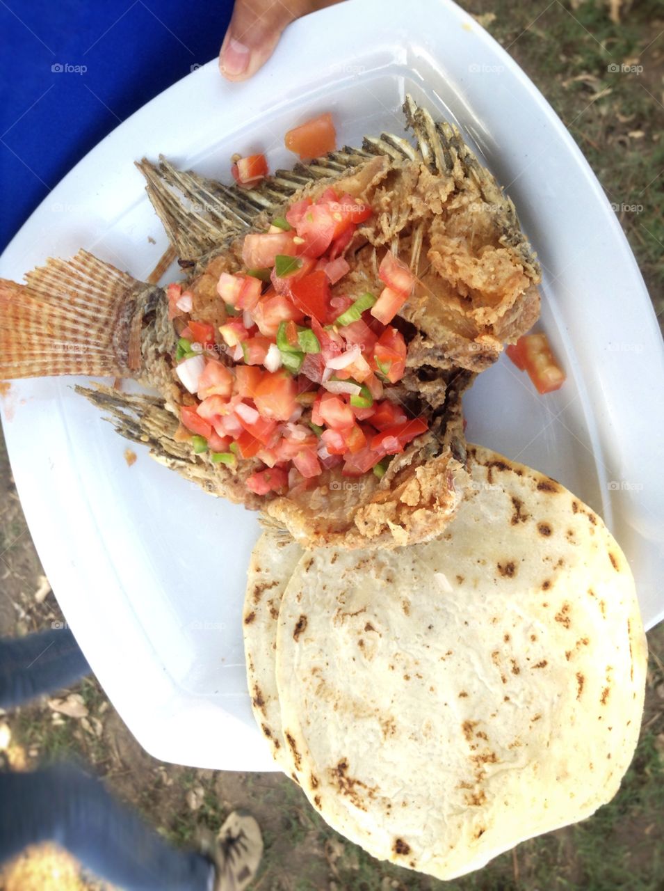 Fried fish plate 