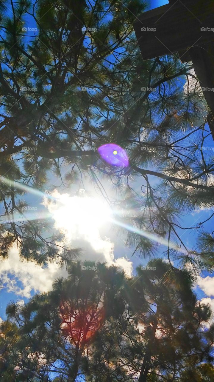 Sunrays coming through