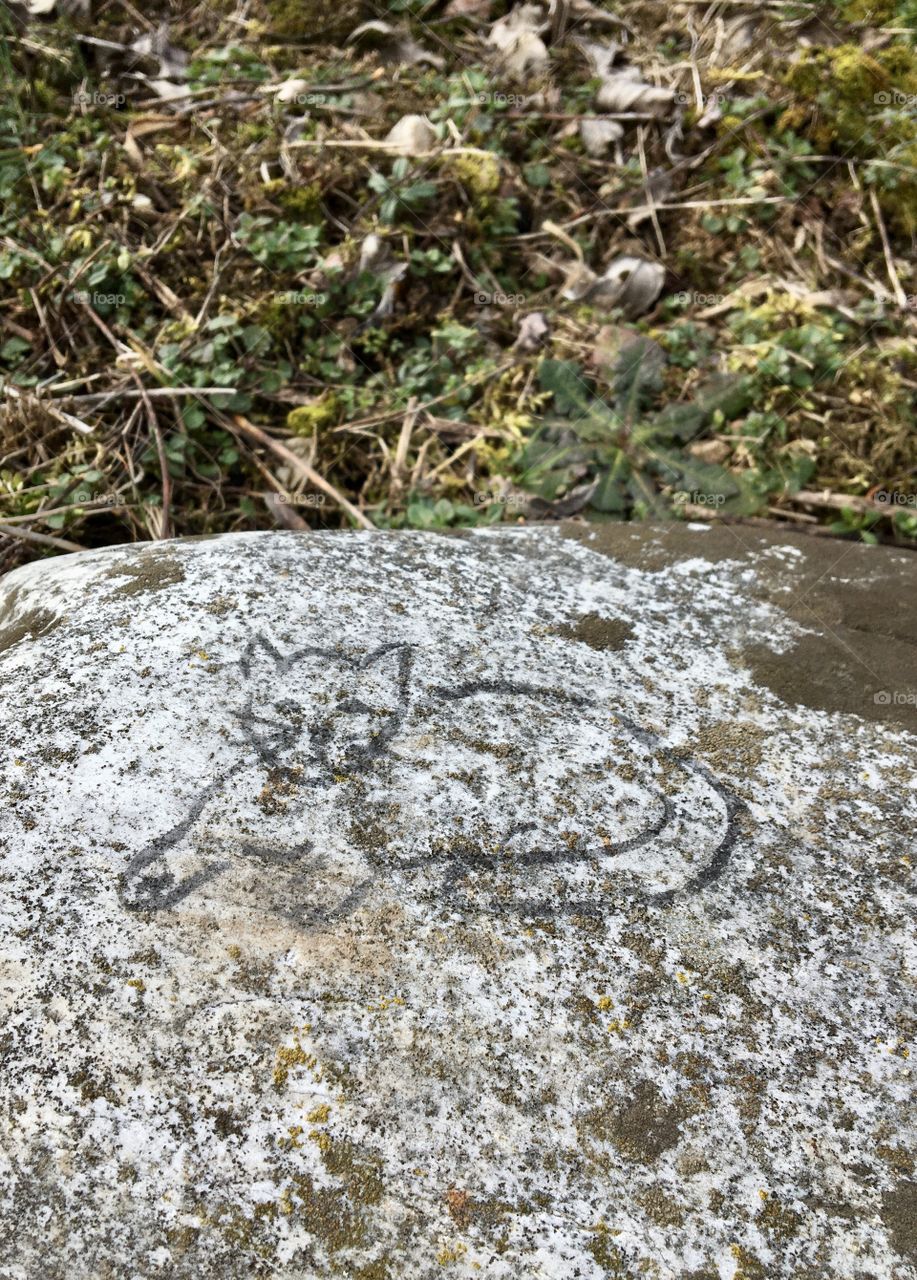 Cat’s drawing on a rock along a trail - #0