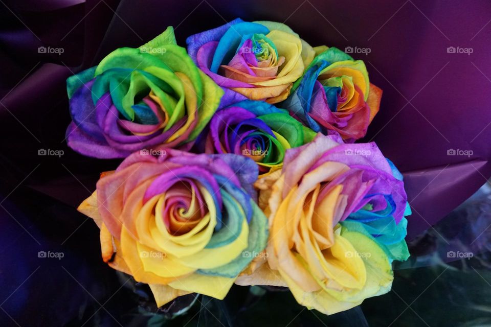 Colourful roses💜💛💙 💚
