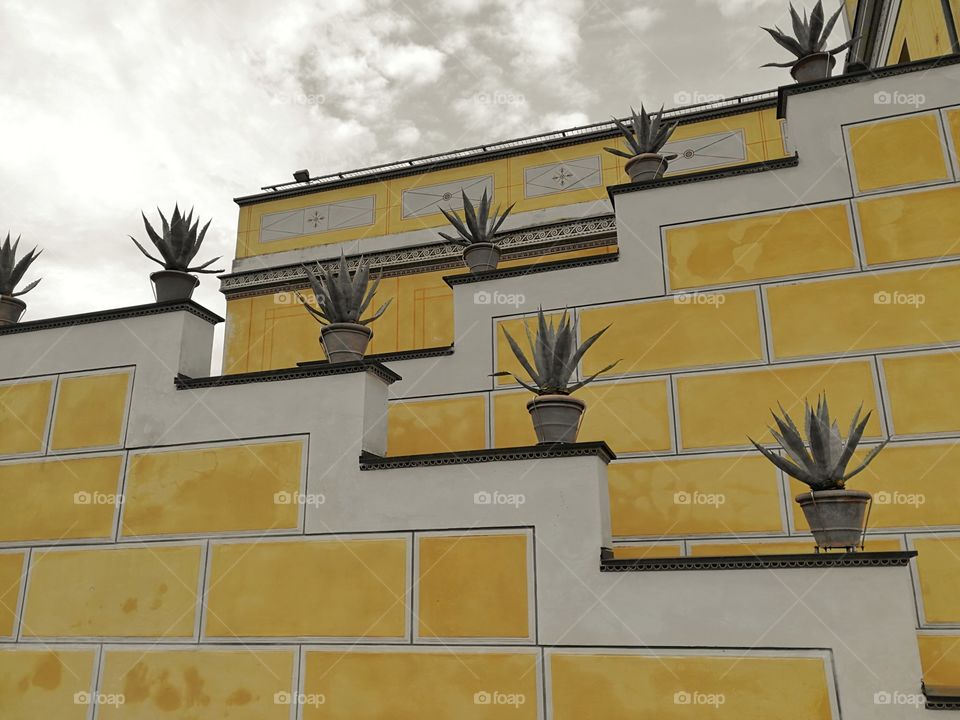 Yellowstone geometric