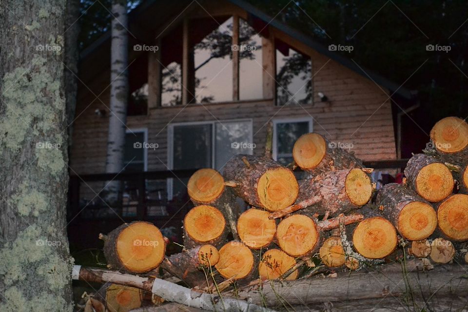 Firewood pile. Pile of logs for firewood