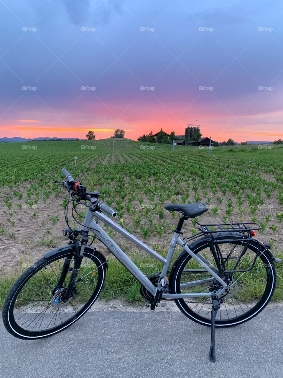 Cycle at sunset 