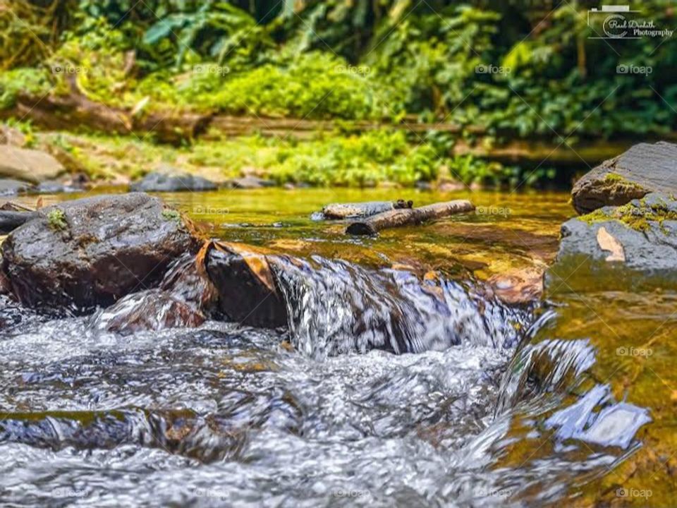 Warm flow in Trinidad and Tobago