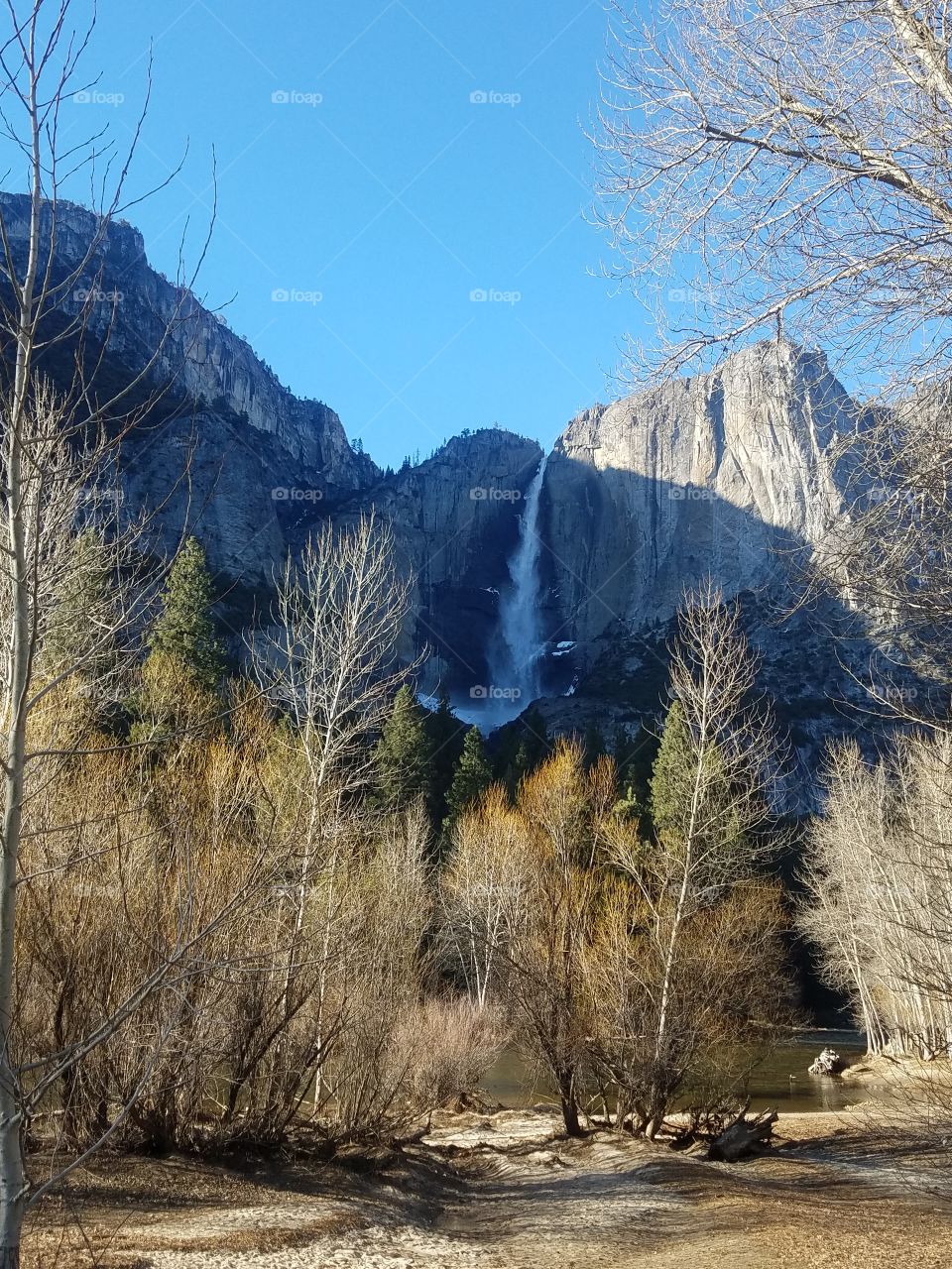 falls in yosemite with trees