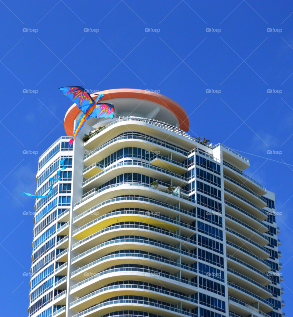miami beach beach color kite by daflux