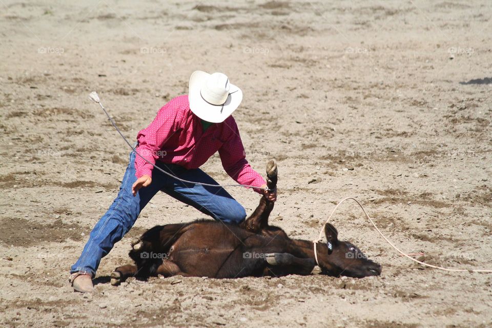 Calf Roping