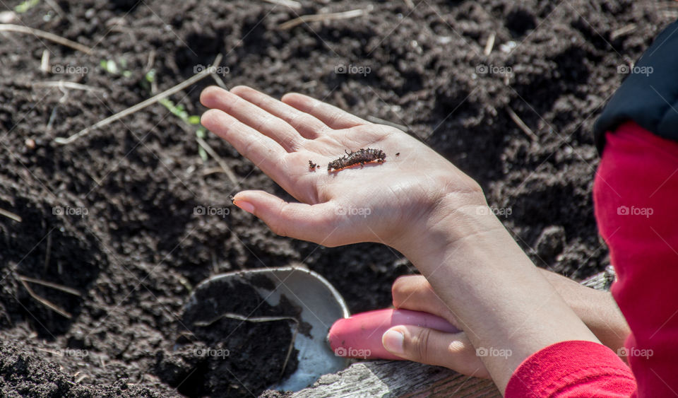 look what I found. a kid finds an earthworm while digging up the soil