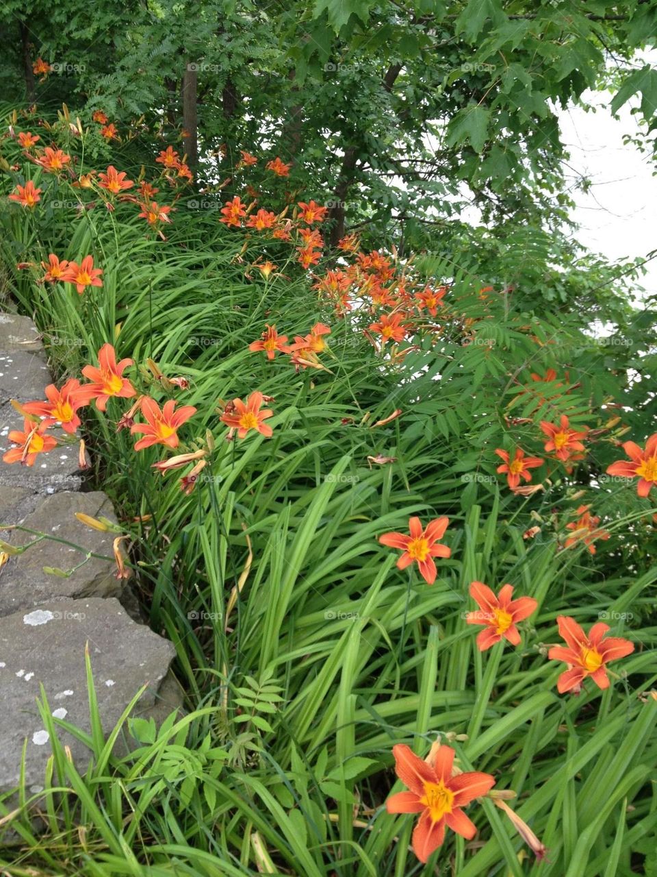 Summertime and the livin’s Easy! 