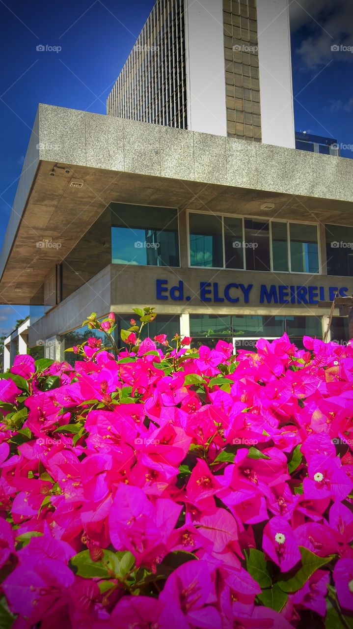 Edifício Brasília-DF Brazil