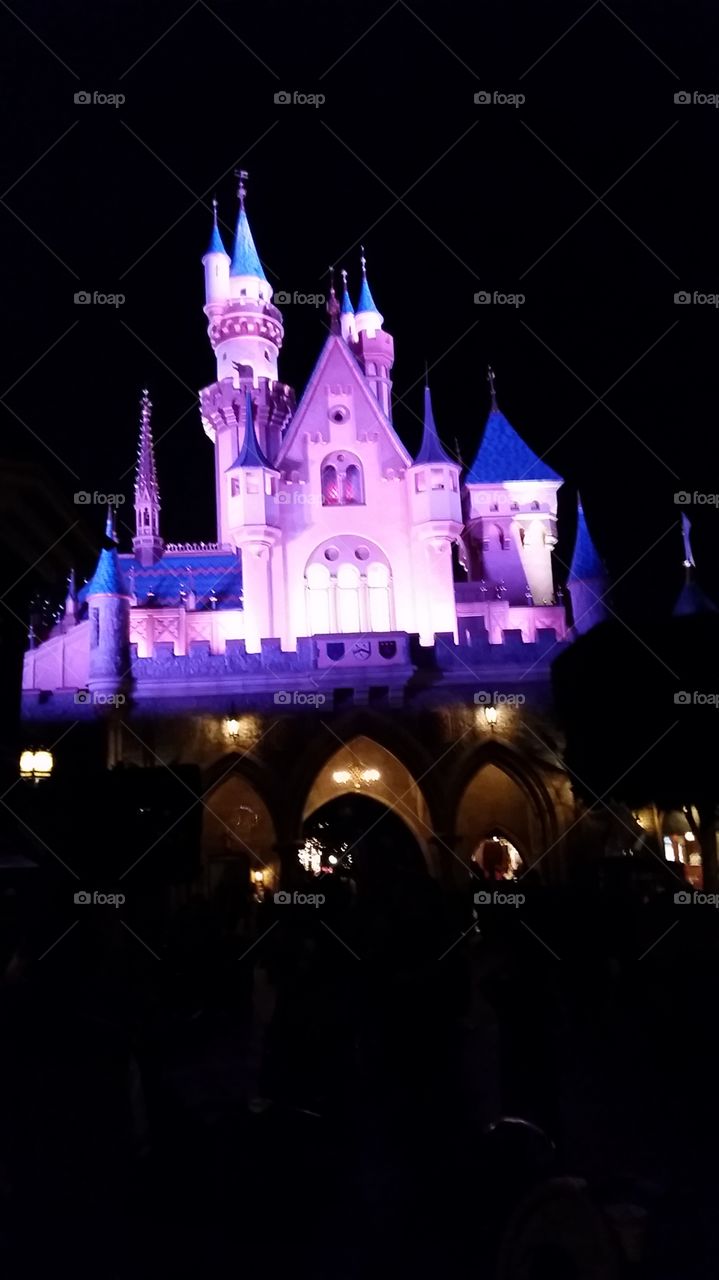 magic castle. who doesn't love the magic Disney castle?