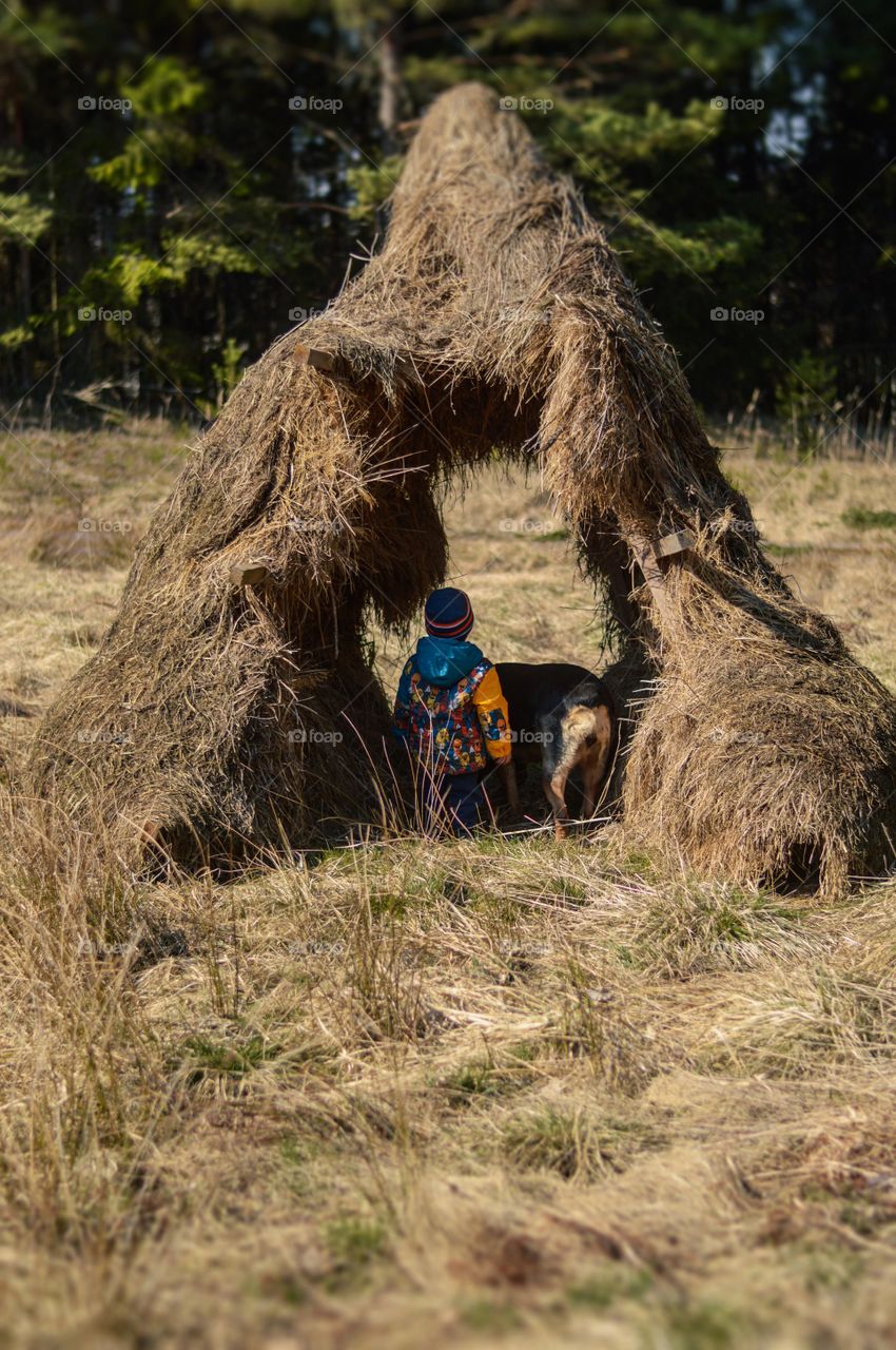 Little boy and dog exploring surounding.