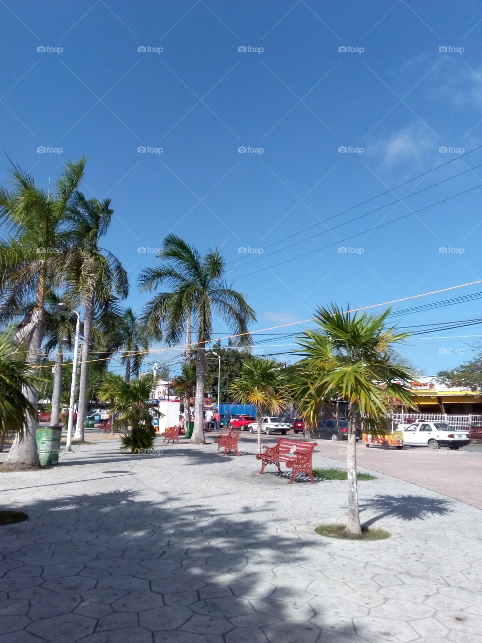 🌴Las Palapas🌴 https://jkvdtsar.com (https://www.instagram.com/p/BheeexenS8t/?taken-by=jkvdtsar)