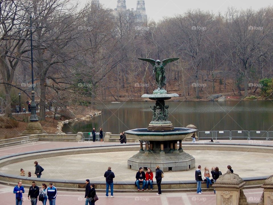 Central Park, NY