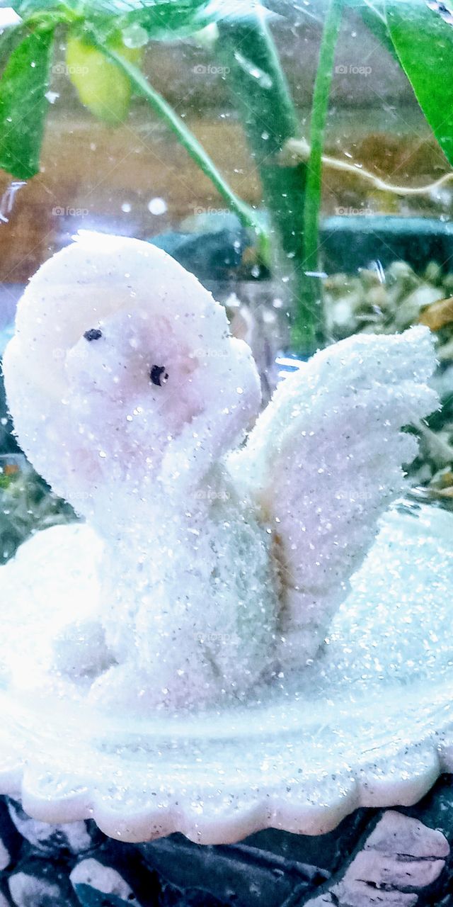 The frozen rat wearing a hat sitting on the ground while looking up the sky.