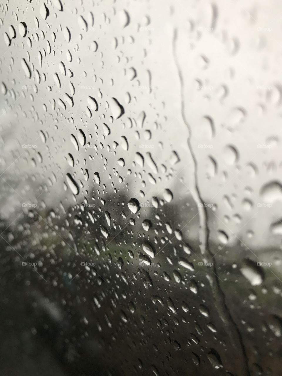 Rainy day 