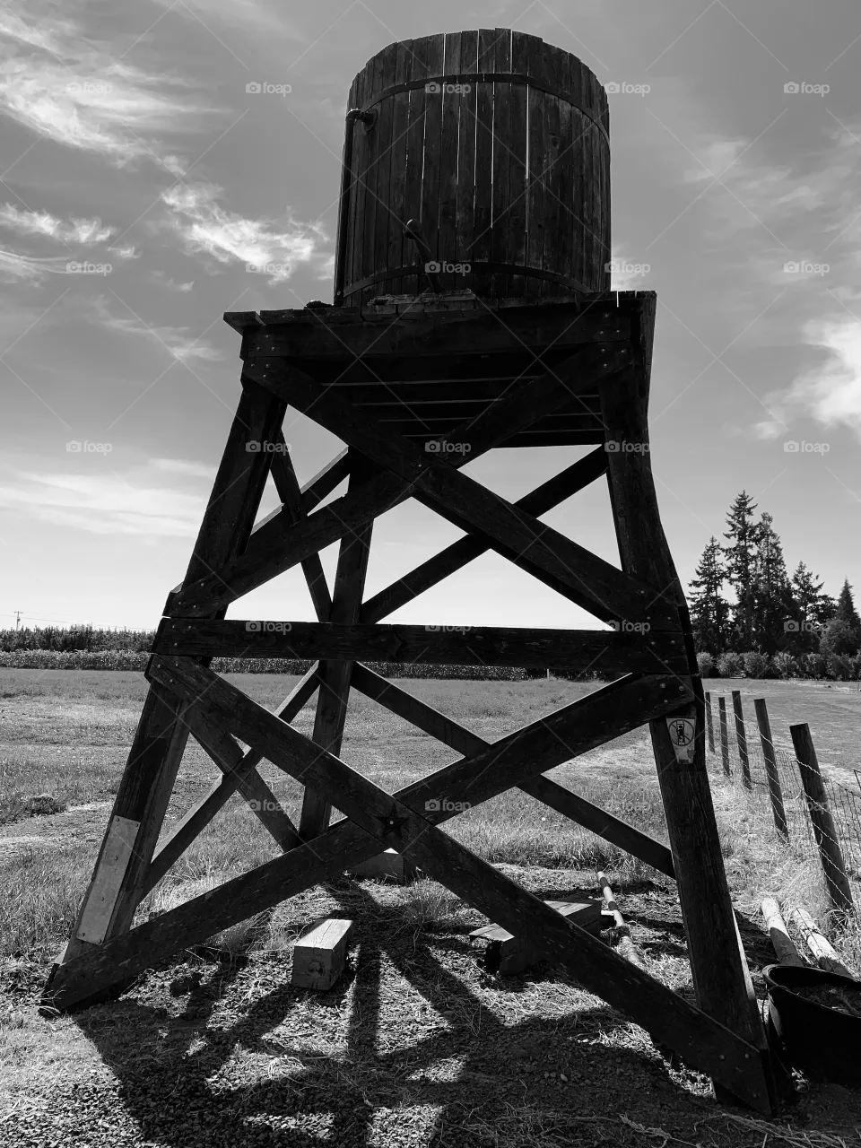 Like it in black and white