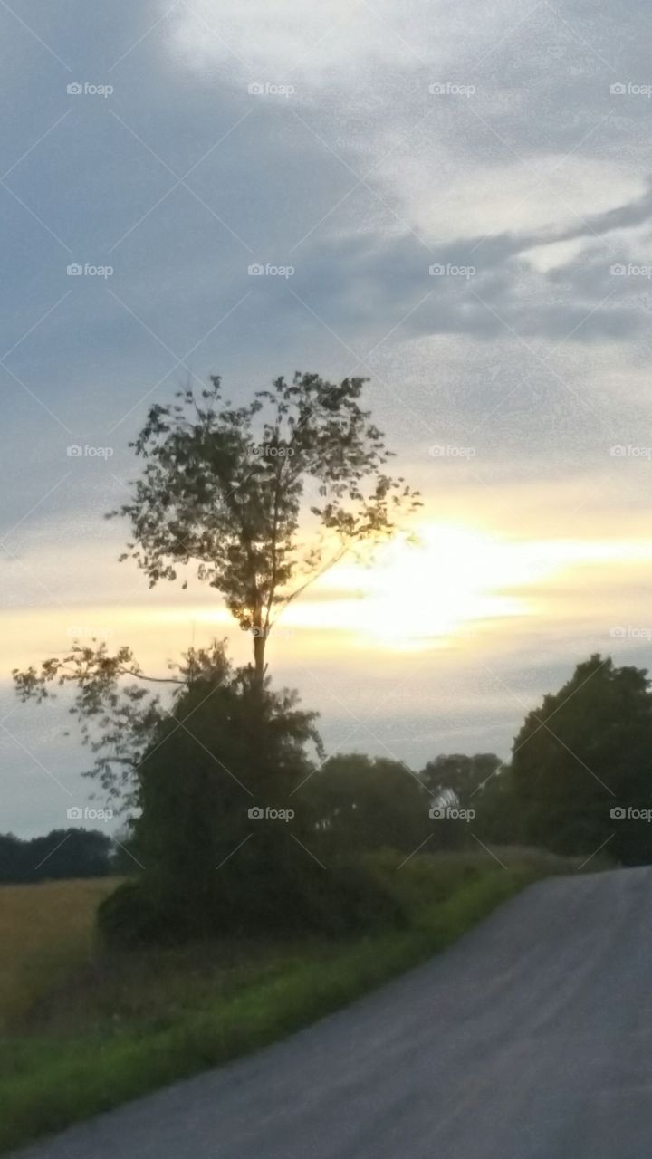 Evening On My Street