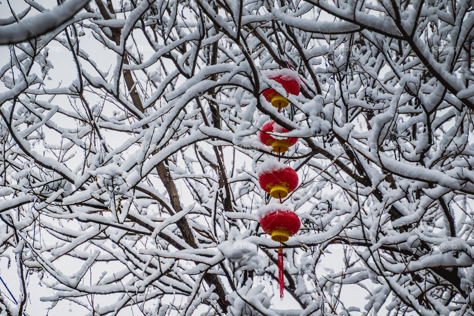 Red Lantern