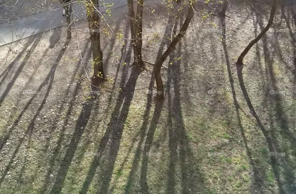 street spring landscape top view light and shadows