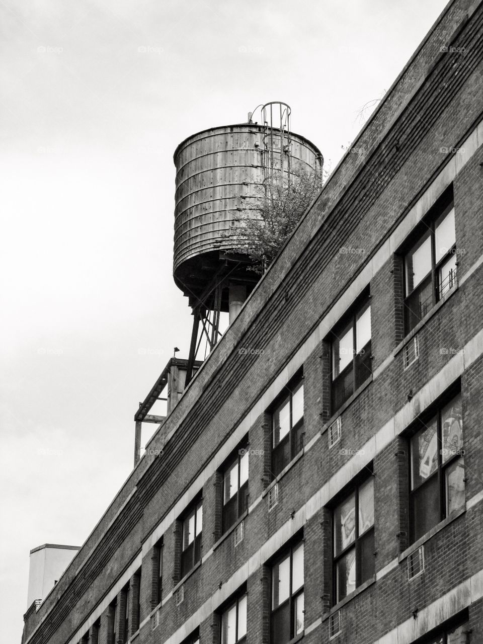 Rooftop Water Tank. Rooftop Water Tank