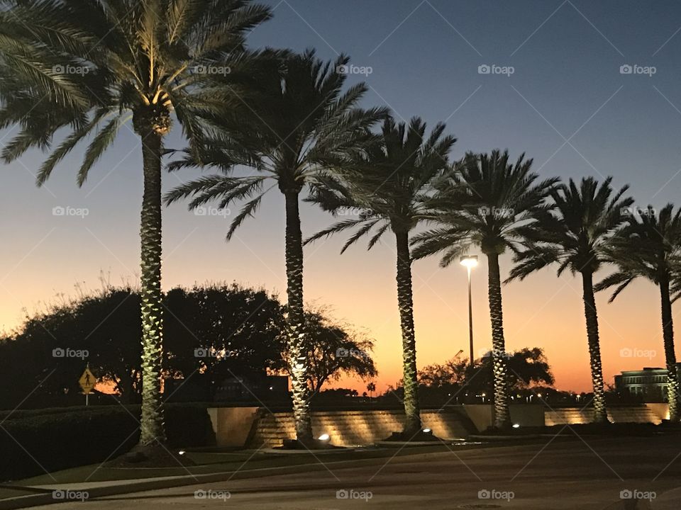 Beautiful Orlando, Florida Sunset