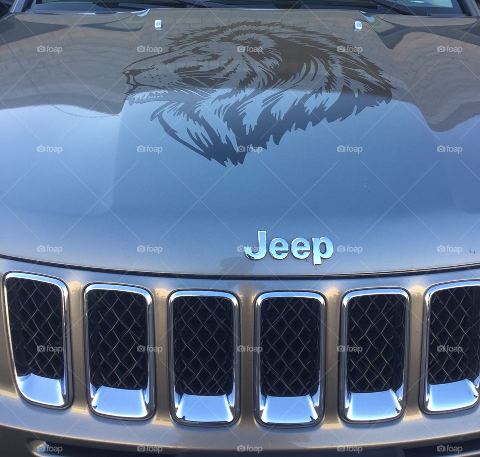He represents strength, leaderships, and  royalty, just like Jeep.  Together we take on the road!