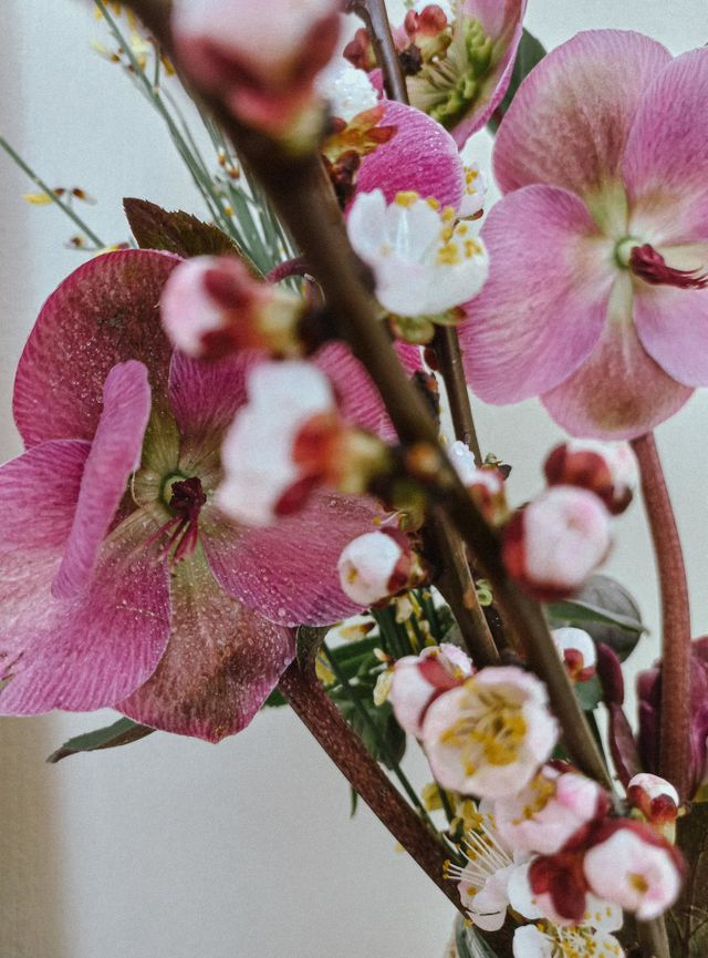 it's spring💜