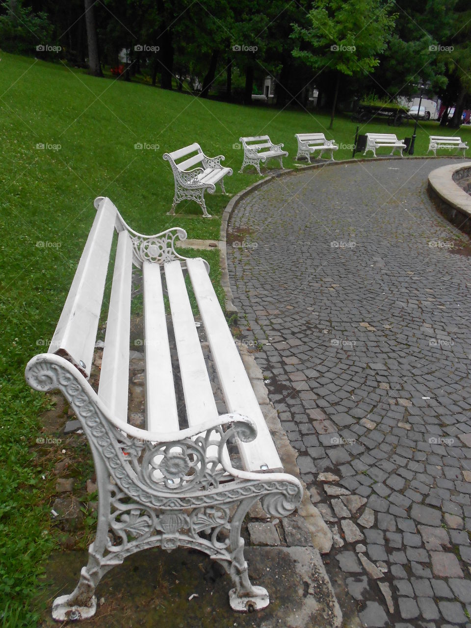 Seat, Park, Outdoors, Bench, Garden