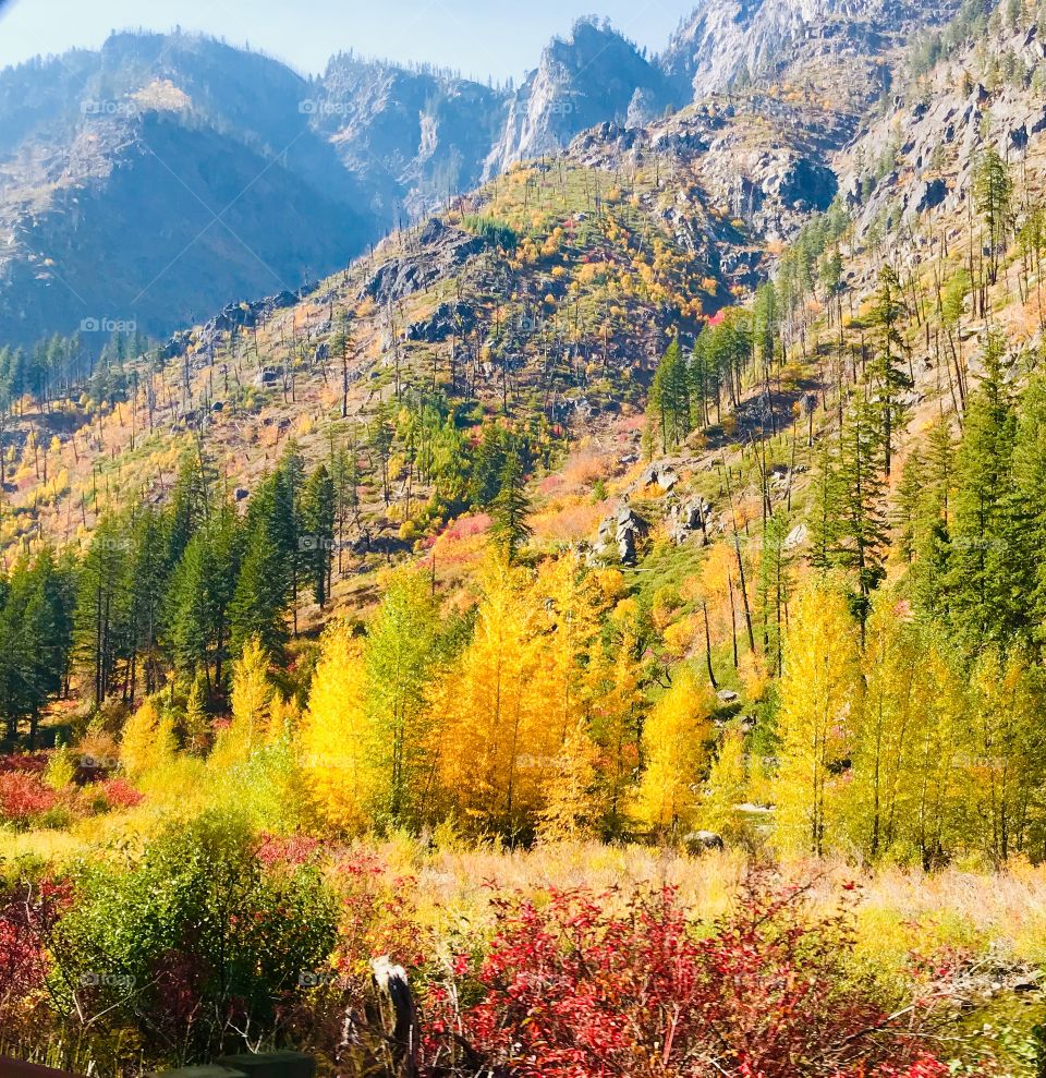 Mountain scene in the Fall