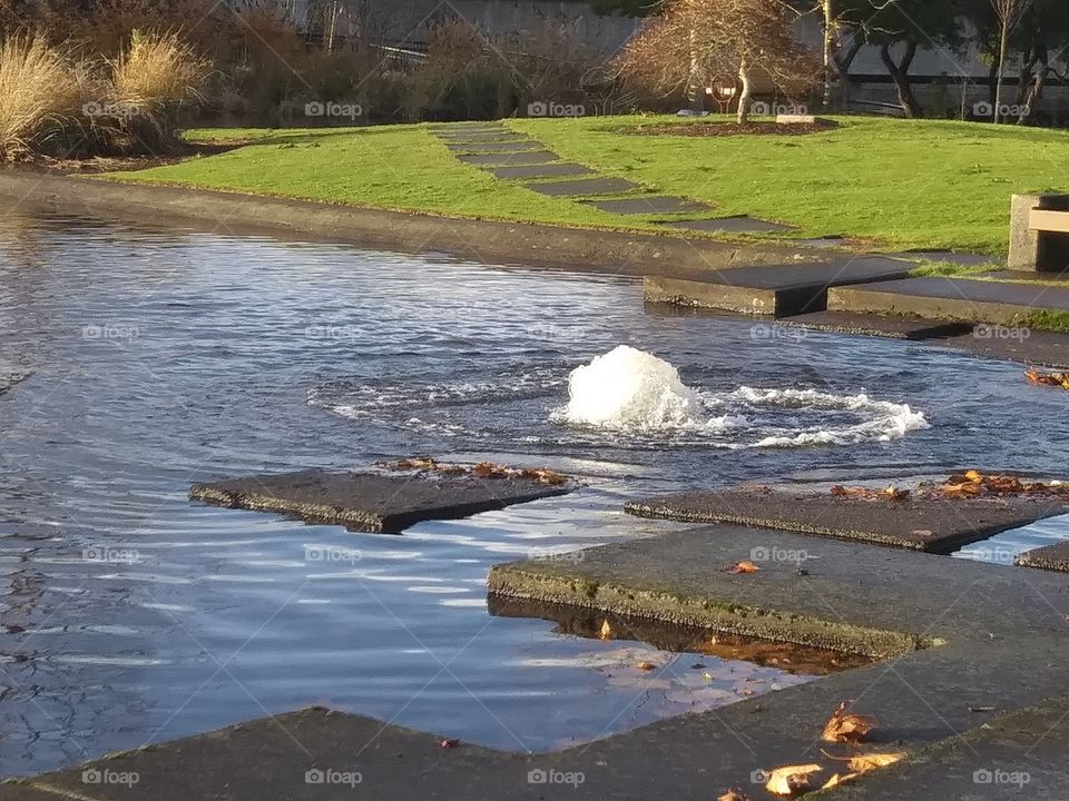 park fountain