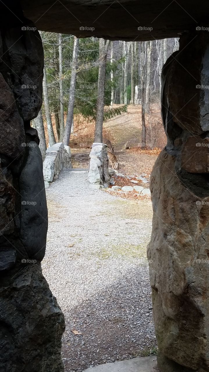 My Point of View: hidden celtic Garden in the mountains of Pennsylvania.  looking through the stone archway into the secret garden....bliss!
