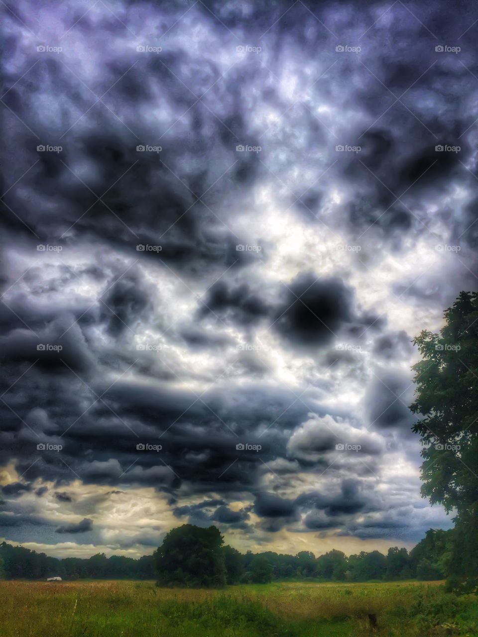 Tower skies and crazy clouds. A massive storm blowing in over the meadow. 