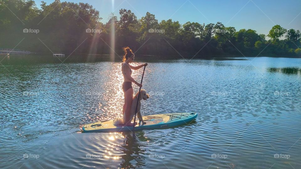 paddleboard with dog