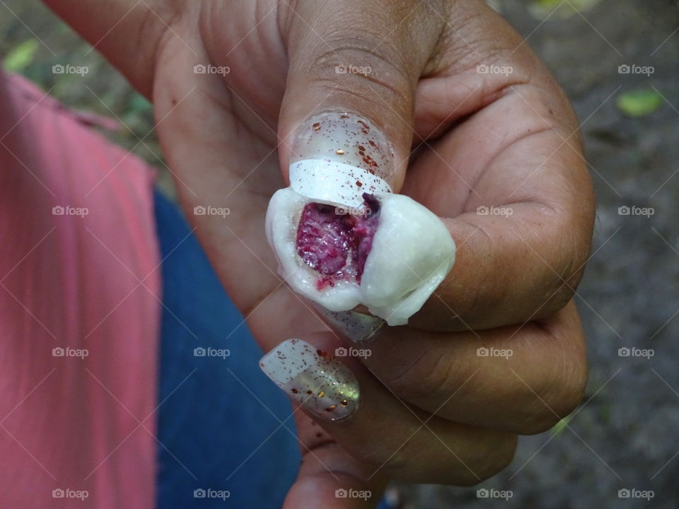 Fresh cacao